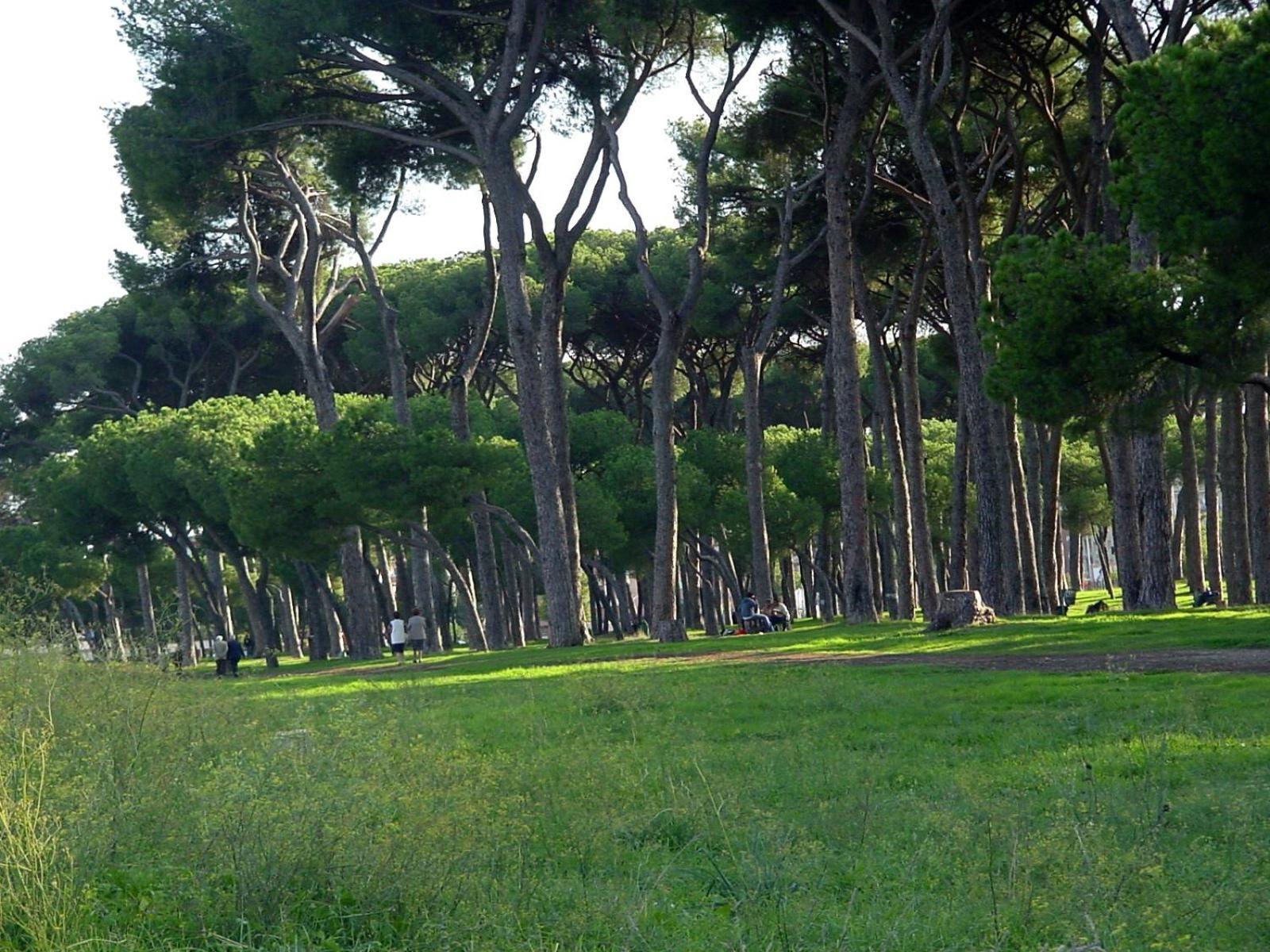 דירות רומא Nearpineta מראה חיצוני תמונה